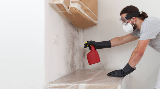 Professional Bathroom Mold Removal technician working in Waverly, IL