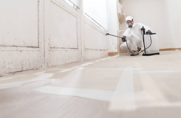 24/7 Emergency Bathroom Mold Removal experts in Waverly, IL